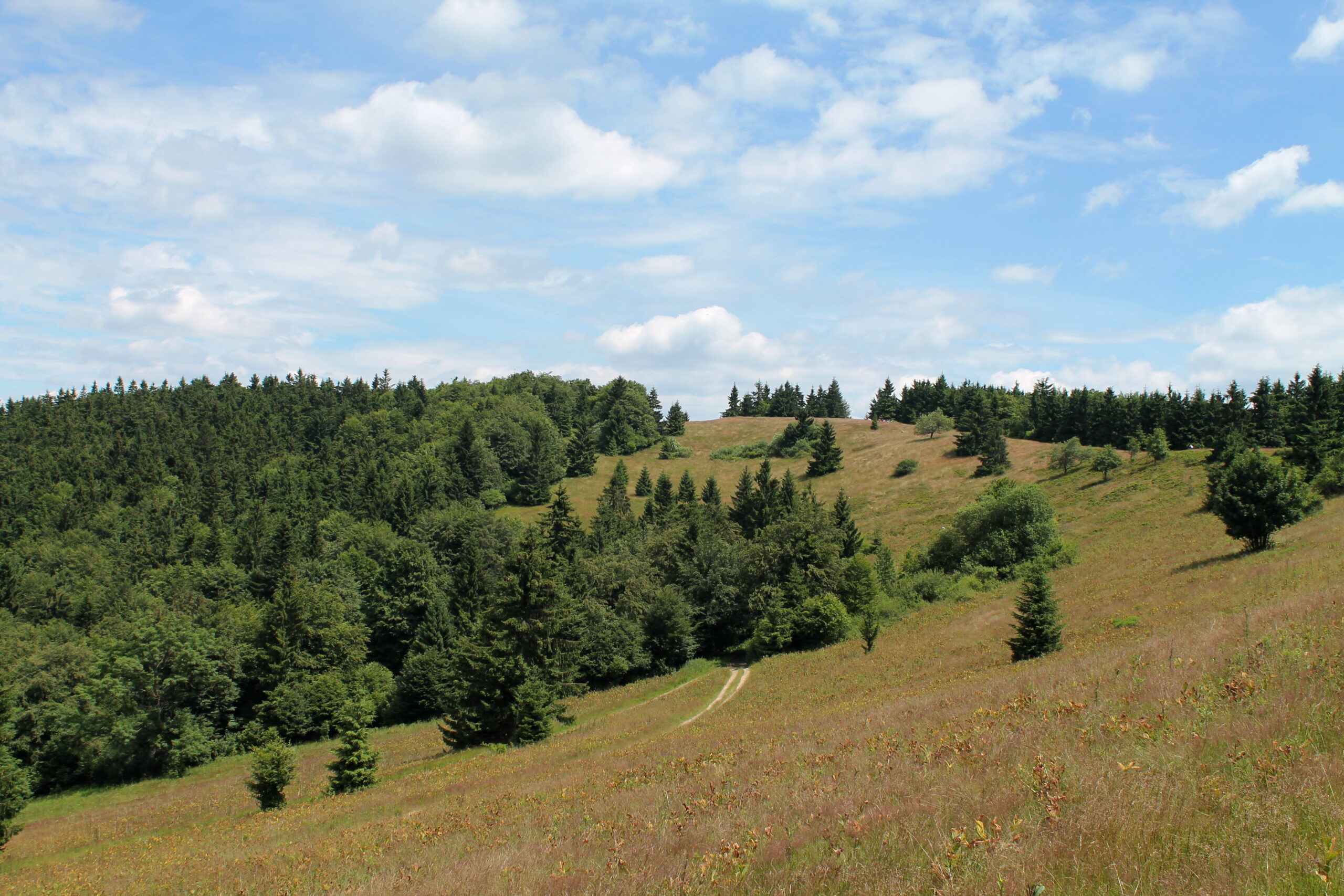 Na najvyšší vrch Javorníkov – Veľký Javorník