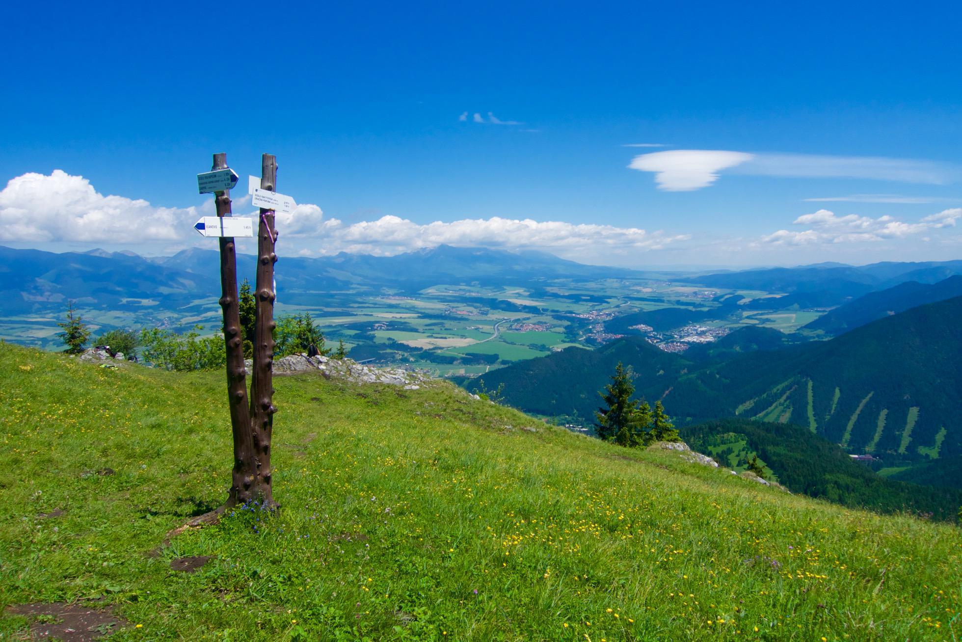 Poludnica
