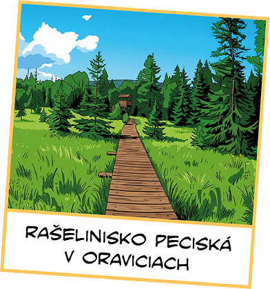 Rašelinisko Peciská, Oravice