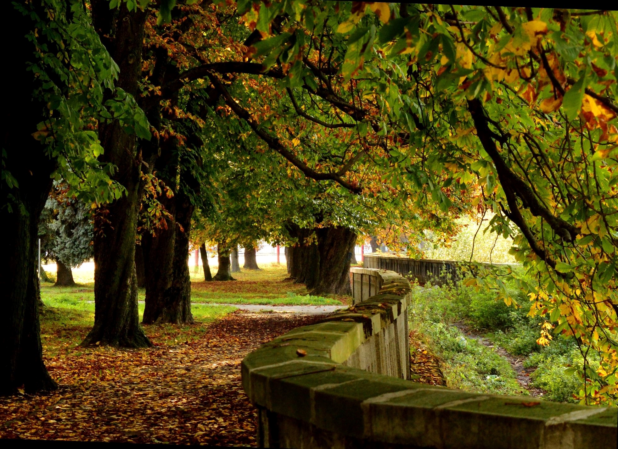 Park v Ružomberku