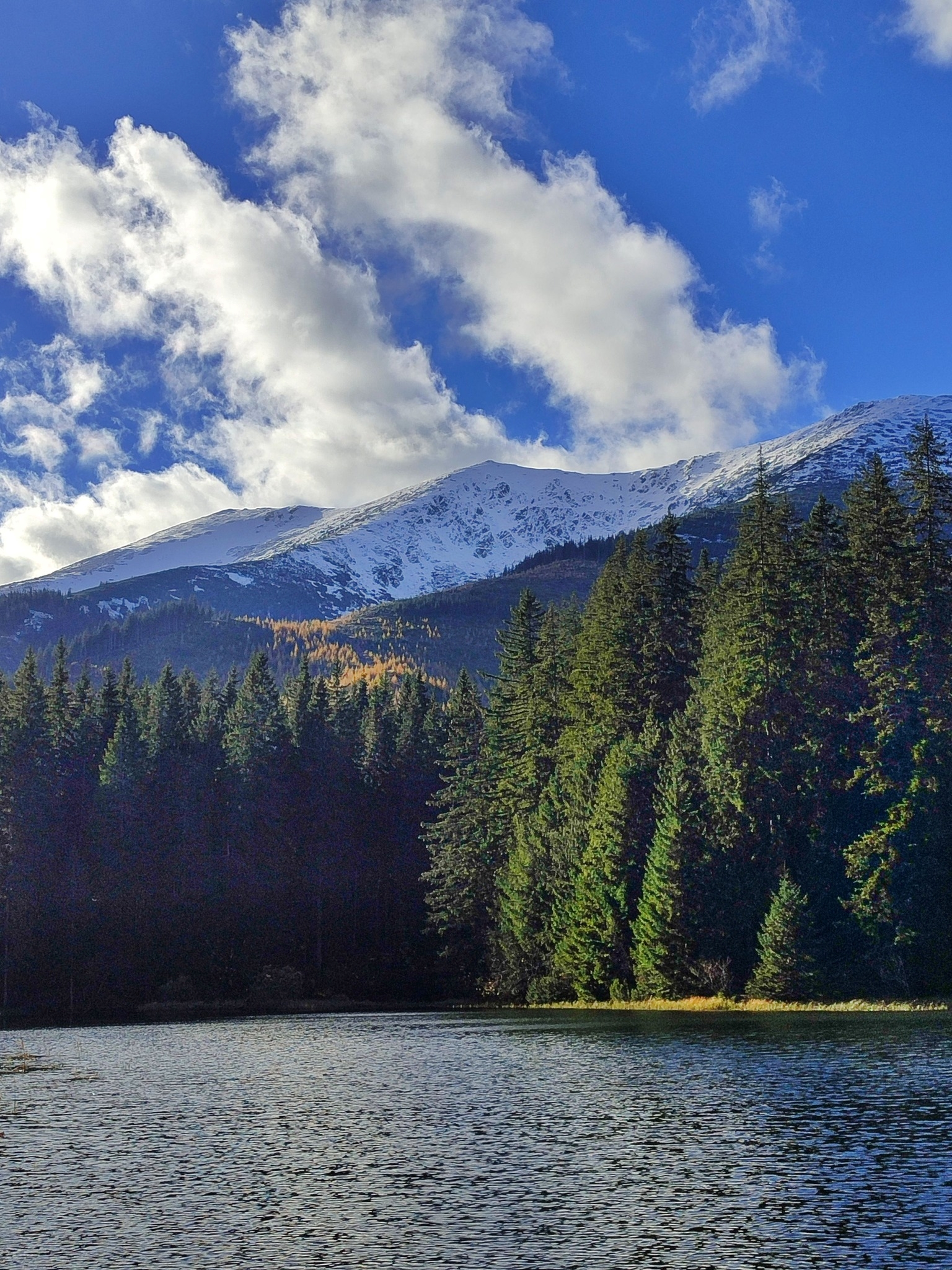 Vrbické pleso