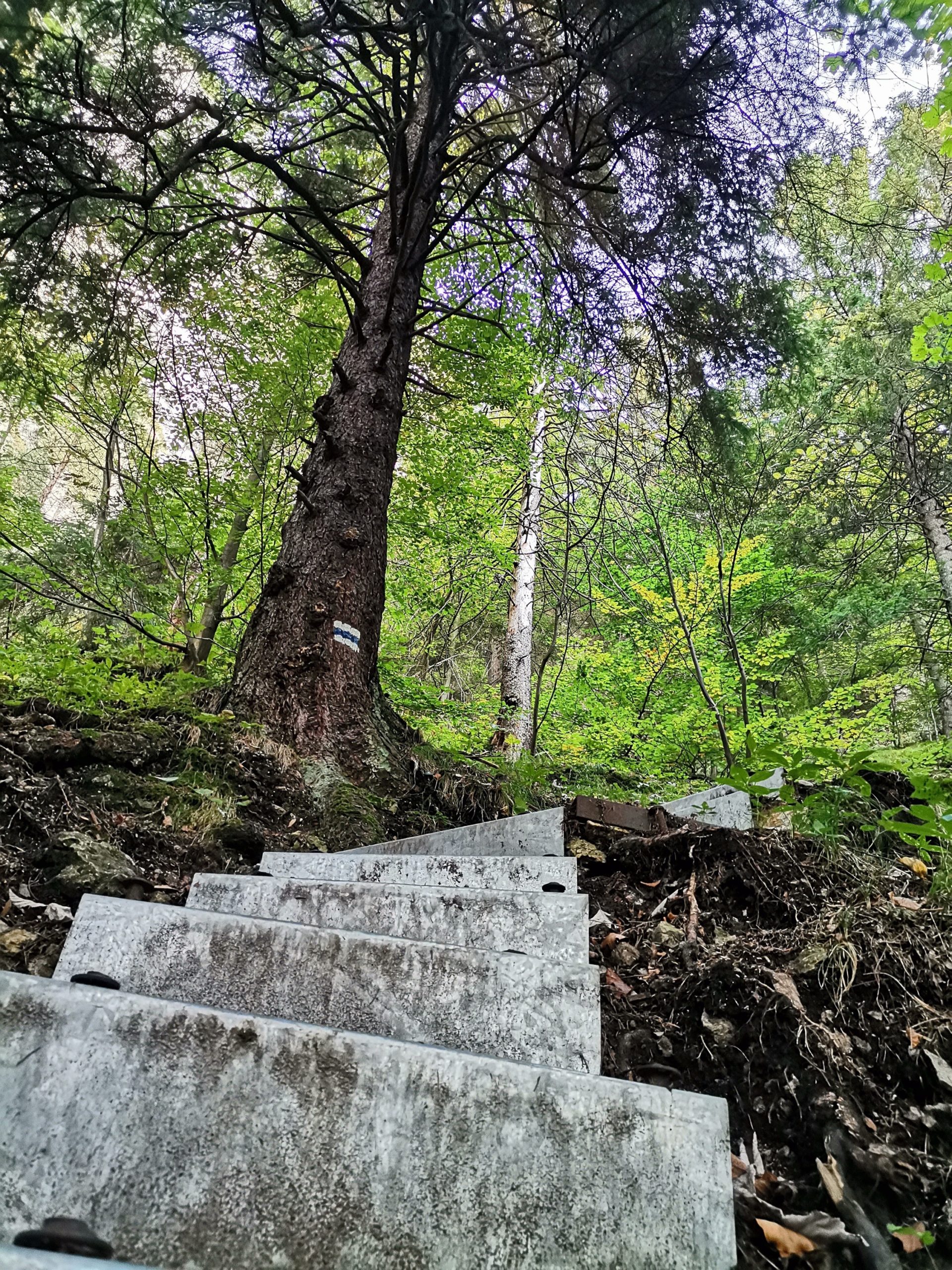 Zbojnícky chodník a dolina Obšívanka