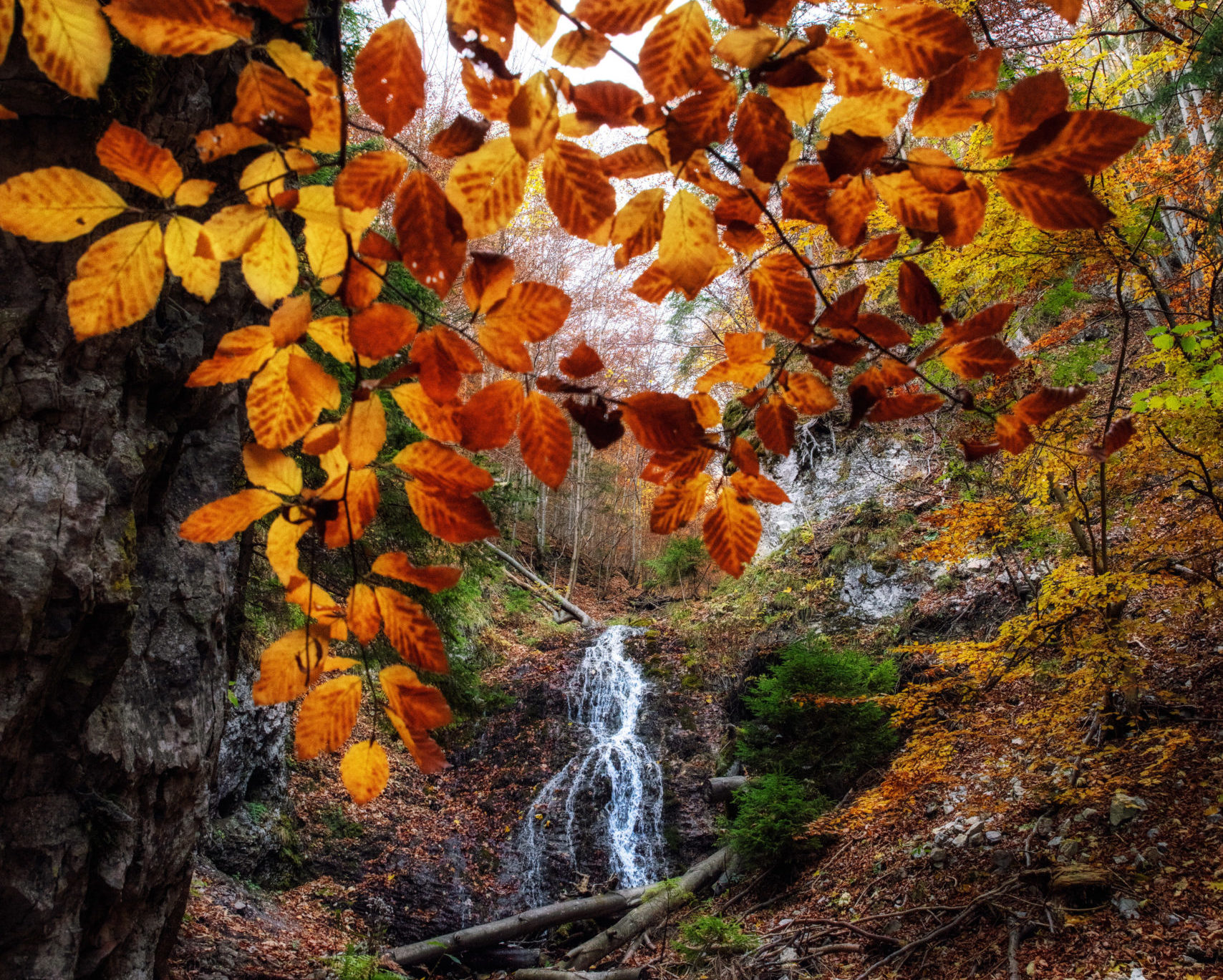 Čutkovská dolina völgy