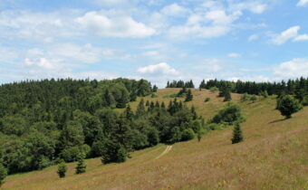 A Jávornik-hegység legmagasabb csúcsára – Nagy-Jávornikra